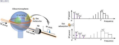 石墨烯和子梳动力学协同作用实现超灵敏气体检测