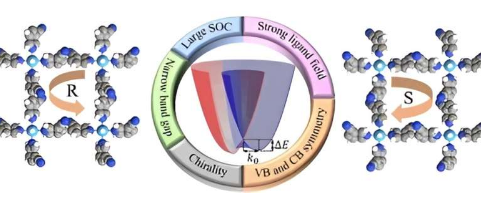 科学家在二维手性金属有机框架中实现了巨大的RashbaDresselhaus自旋分裂