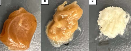 大豆生物柴油副产品可促进3D打印行业发展