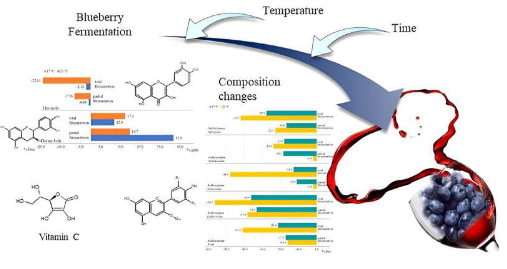 温度时间和蓝莓酒研究人员研究发酵对促进健康的化合物的影响