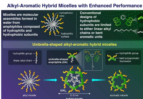 研究表明烷基芳香族杂化胶束可以由伞状分子形成