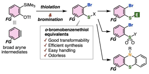 解锁复杂的硫分子一种合成功能化苯硫醇等价物的新方法