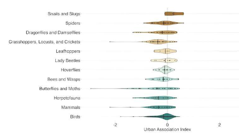 城市包含自然空间我们的研究显示哪些物种对城市化最有耐受力
