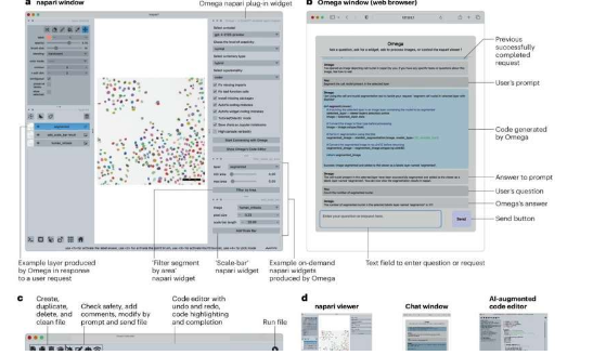 借助新的Omega工具科学家可以通过人工智能对话快速分析复杂的生物图像