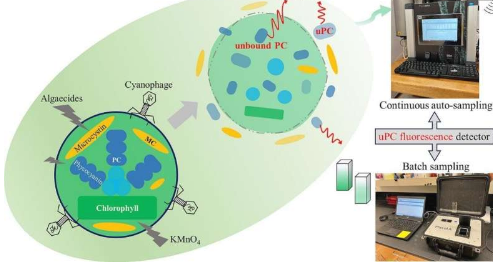 在托莱多测试的先进藻类传感器被证明是保护饮用水的有效工具