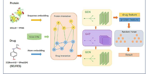 图形学习模块增强药物靶标相互作用预测