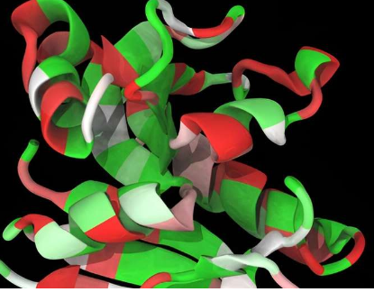能量景观理论揭示可折叠蛋白质的进化