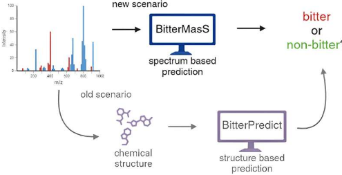 新工具无需事先了解食物的化学结构即可预测食物的苦味