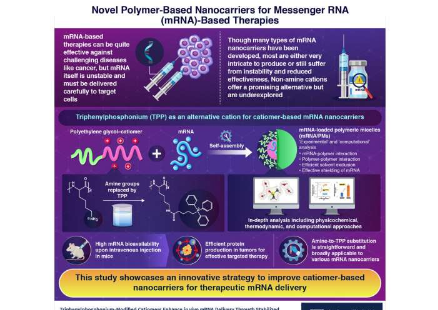 改进用于靶向治疗的mRNA负载纳米载体的设计