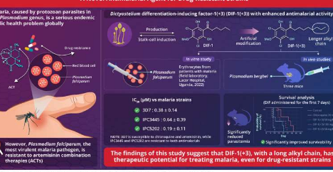 研究团队开发新型抗疟药物 可对抗耐药性寄生虫