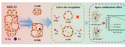 SSZ-13 沸石在催化二甲醚羰基化反应中的机理解析