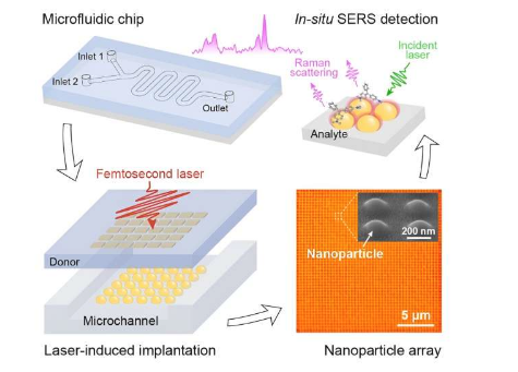 研究人员开发出纳米粒子阵列植入技术用于灵敏且可重复使用的检测