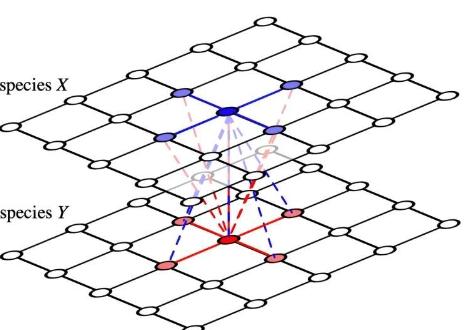 数学家模拟了合作行为中令人费解的崩溃