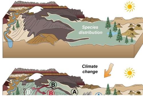 科学家呼吁采取新的保护方法拯救脆弱物种免受气候变化的影响