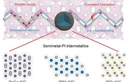 半金属诱导共价性实现铂金属间化合物的高效电催化
