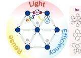 设计用于可持续光催化的多功能框架材料