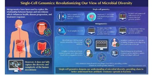 先进的单细胞基因组学方法绘制抗生素耐药性图谱