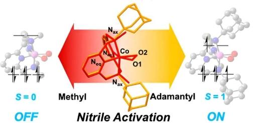 研究揭示钴与腈的反应机理为药物开发开辟途径