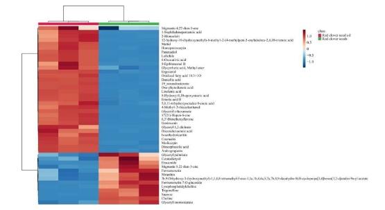 研究发现红三叶草籽油富含生物活性化合物