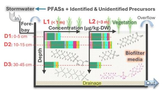 研究发现雨水处理生物过滤器中PFAS含量较高