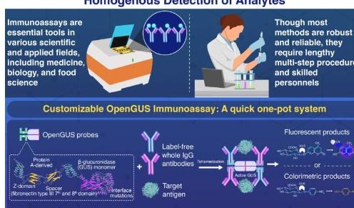 可定制的免疫测定可以增强诊断和现场评估