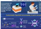 可定制的免疫测定可以增强诊断和现场评估